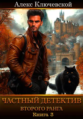 Частный детектив второго ранга 3