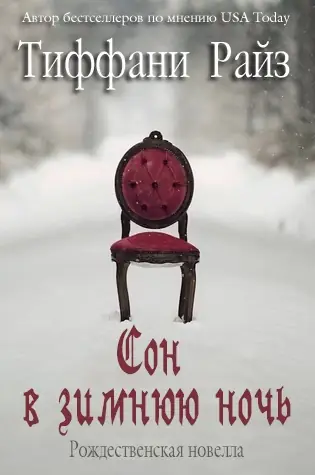 Сон в зимнюю ночь