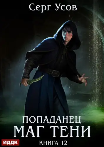 Попаданец. Маг Тени 12
